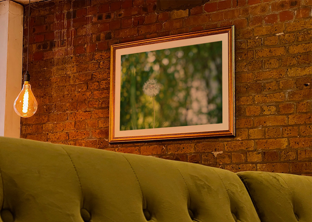 Pampeliška, zelené pozadí