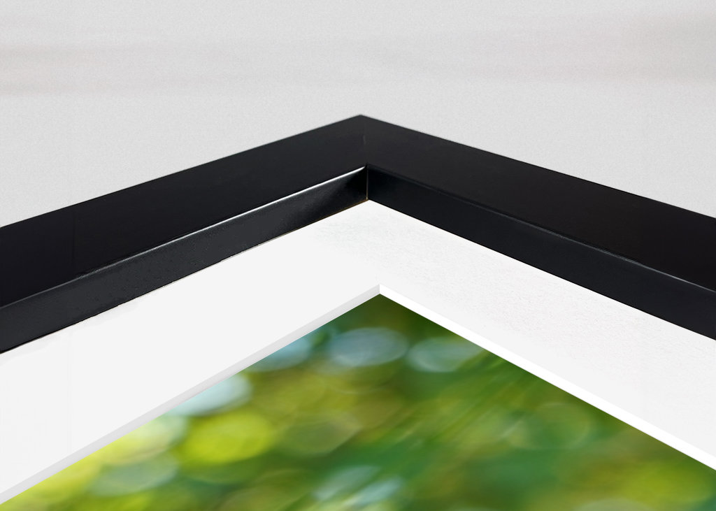 Pampeliška, zelené pozadí