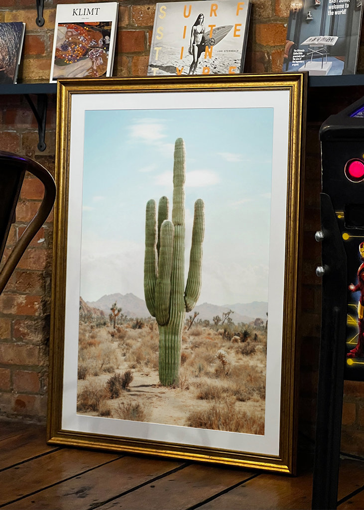Cactus Life