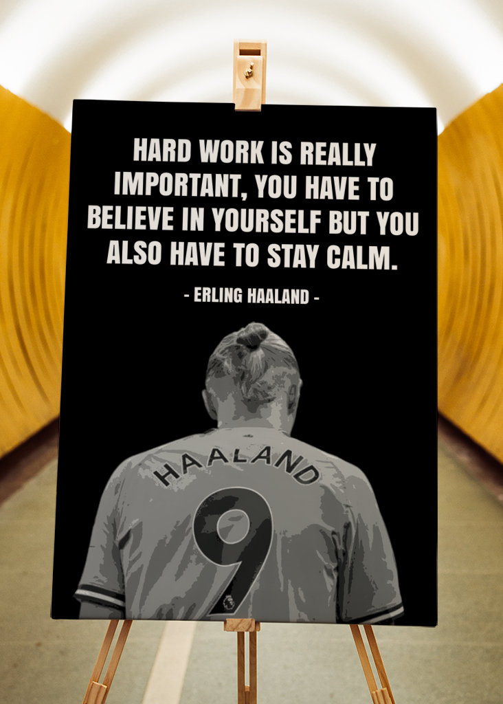 Erling Haaland Quotes