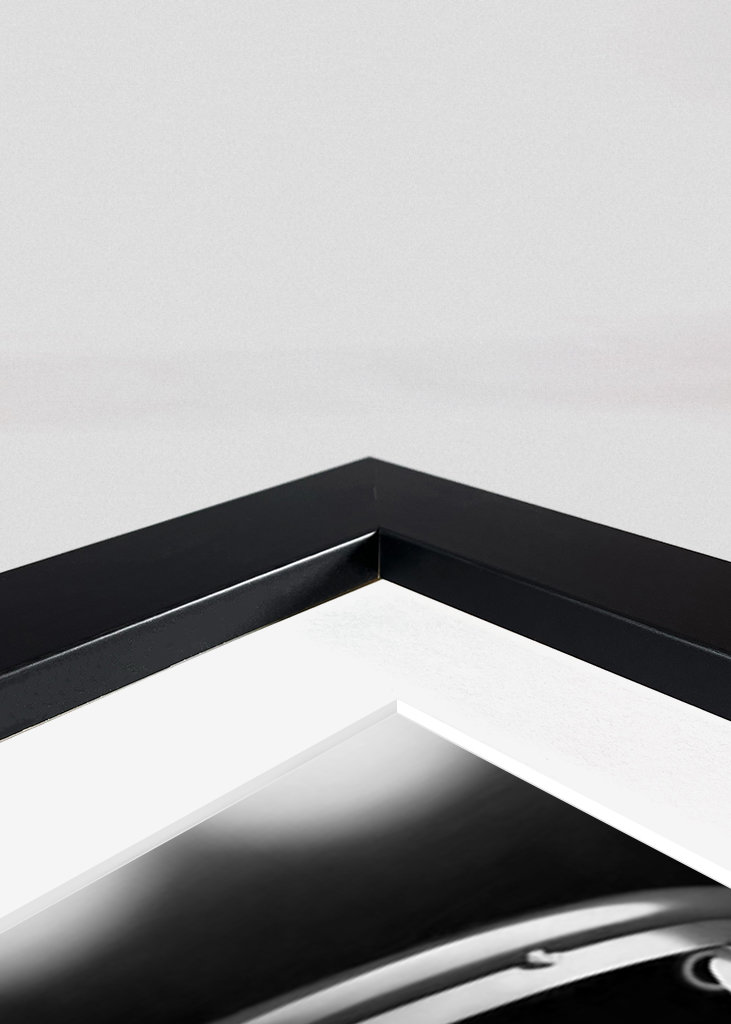 Basketbalové citáty 