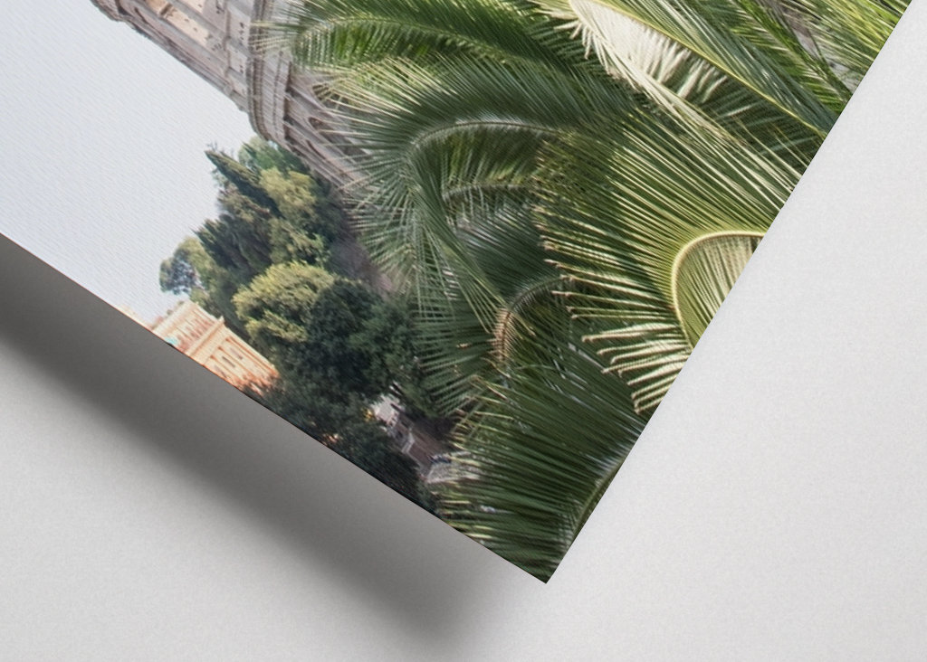 Kolosseum in Rom mit Palme 3