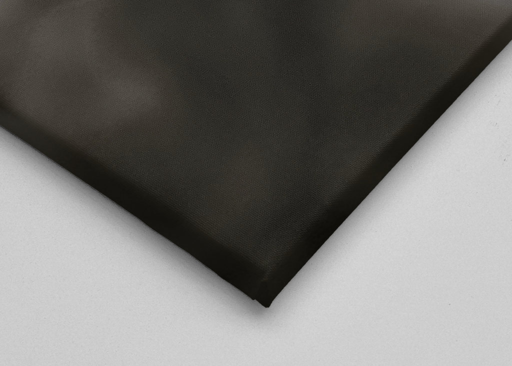 Bloem in zwart en wit