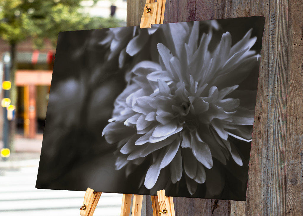 Bloem in zwart en wit