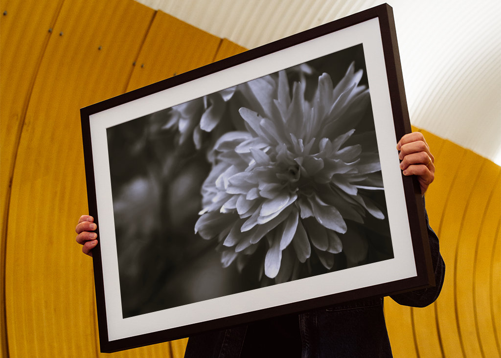 Bloem in zwart en wit