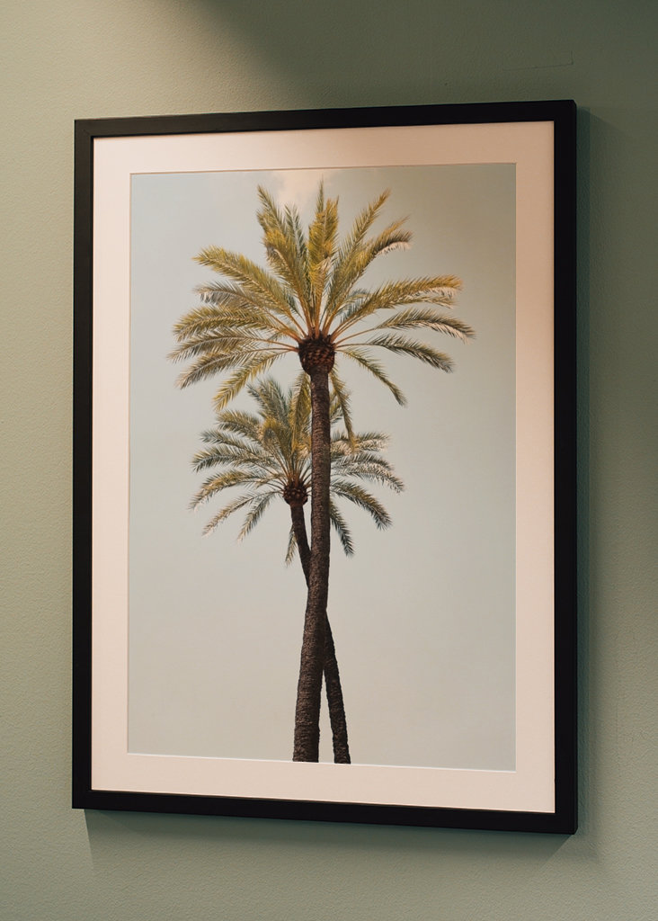 Palm Trees Beauty 6