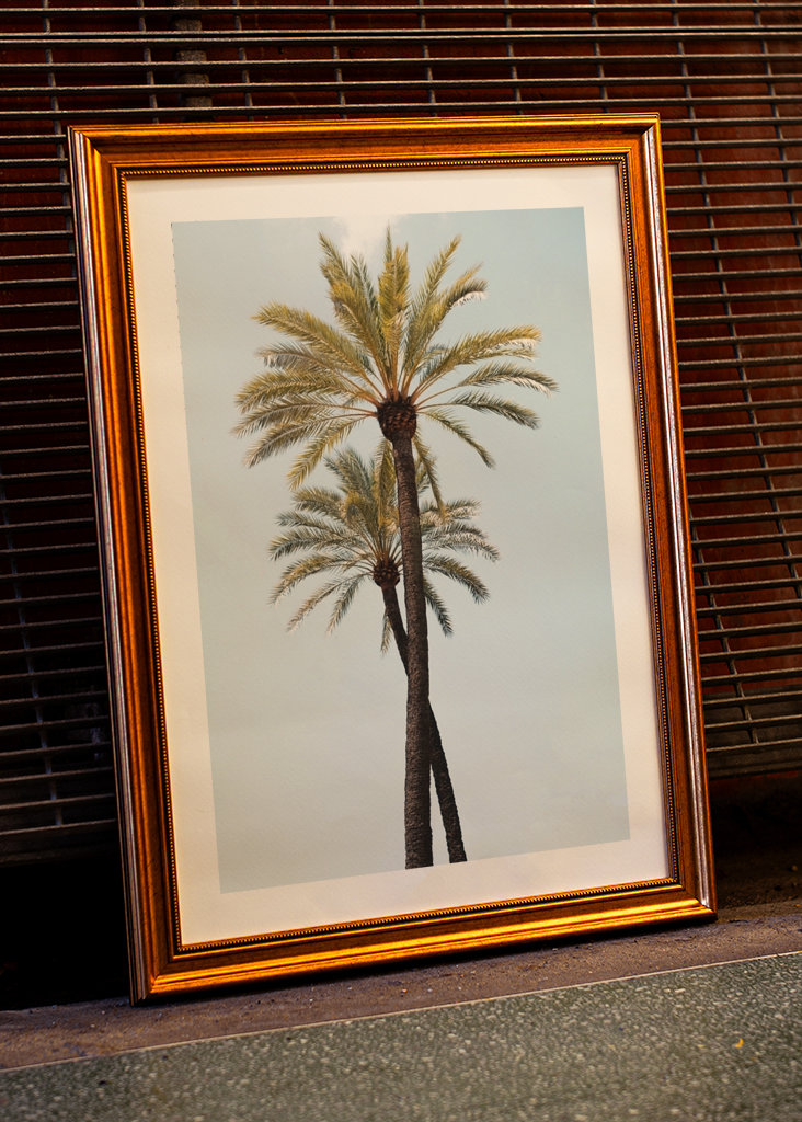 Palm Trees Beauty 6