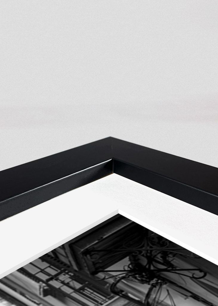 Hest og vogn / hest taxi