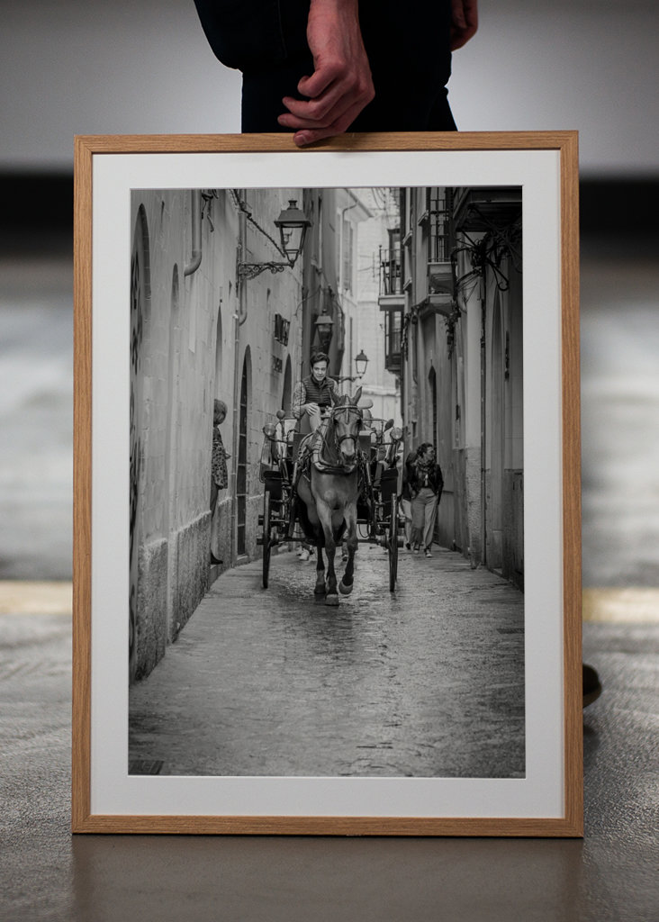 Hest og vogn / hest taxi