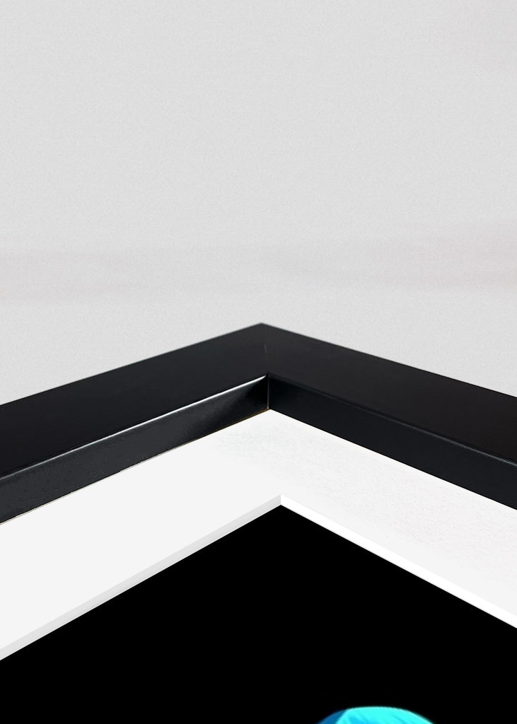 Lucario Legendary Pokemon