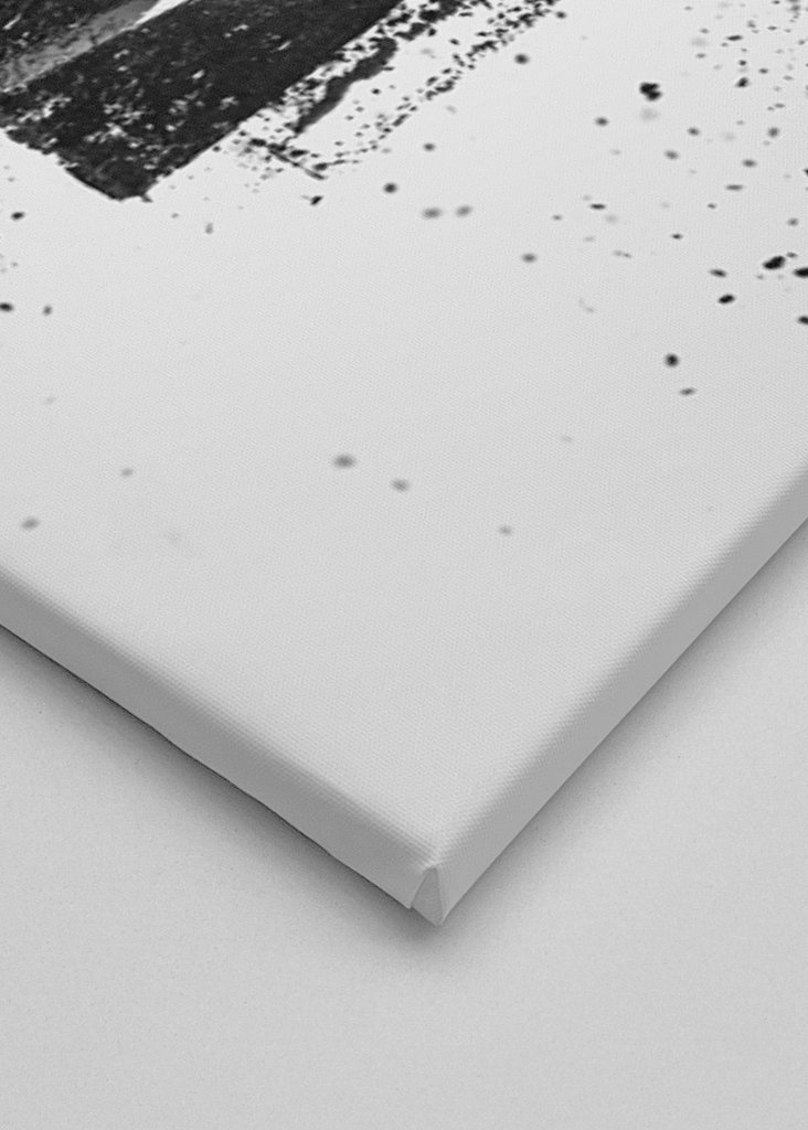 Arte de boceto de Roxy migurdia