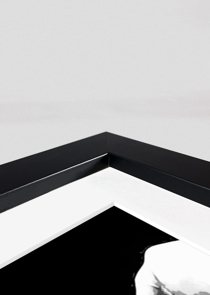 Arnold Schwarzenegger 