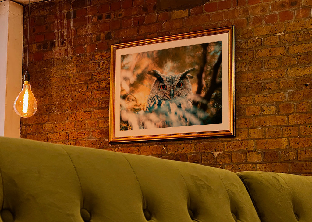 Búho real de ojos rojos