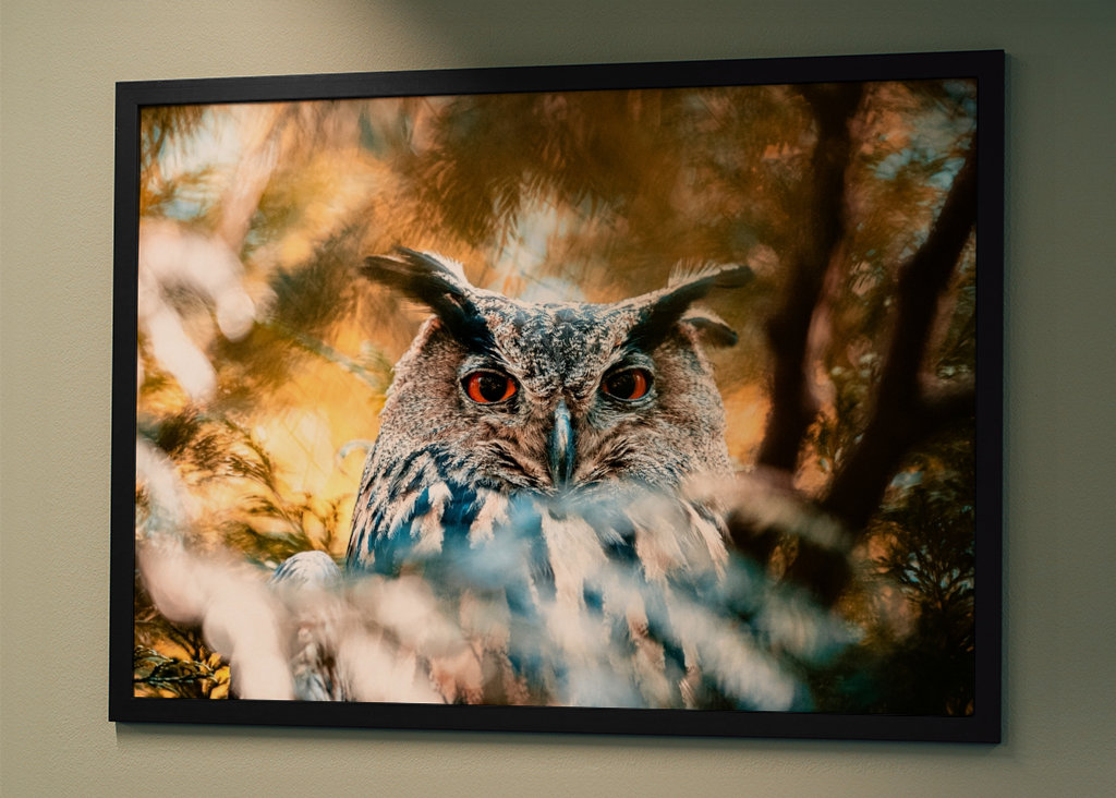 Búho real de ojos rojos