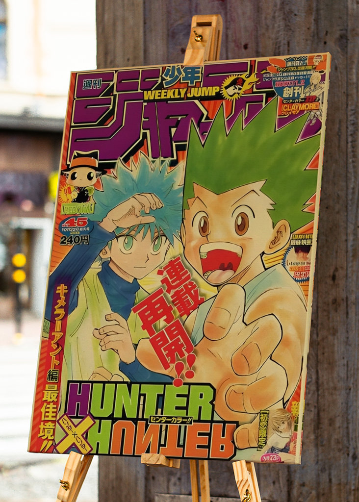 Hunter X hunter