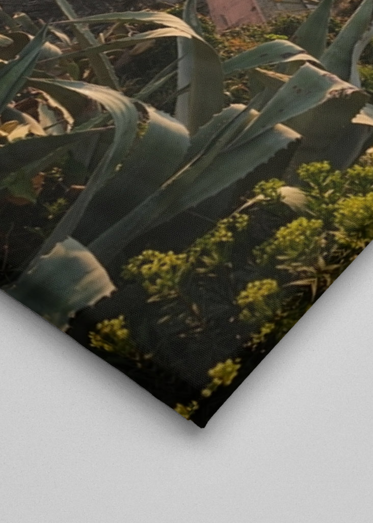 Sunset in Vernazza, Italy