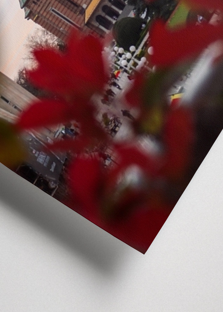 Timişoara-katedralen ved solnedgang