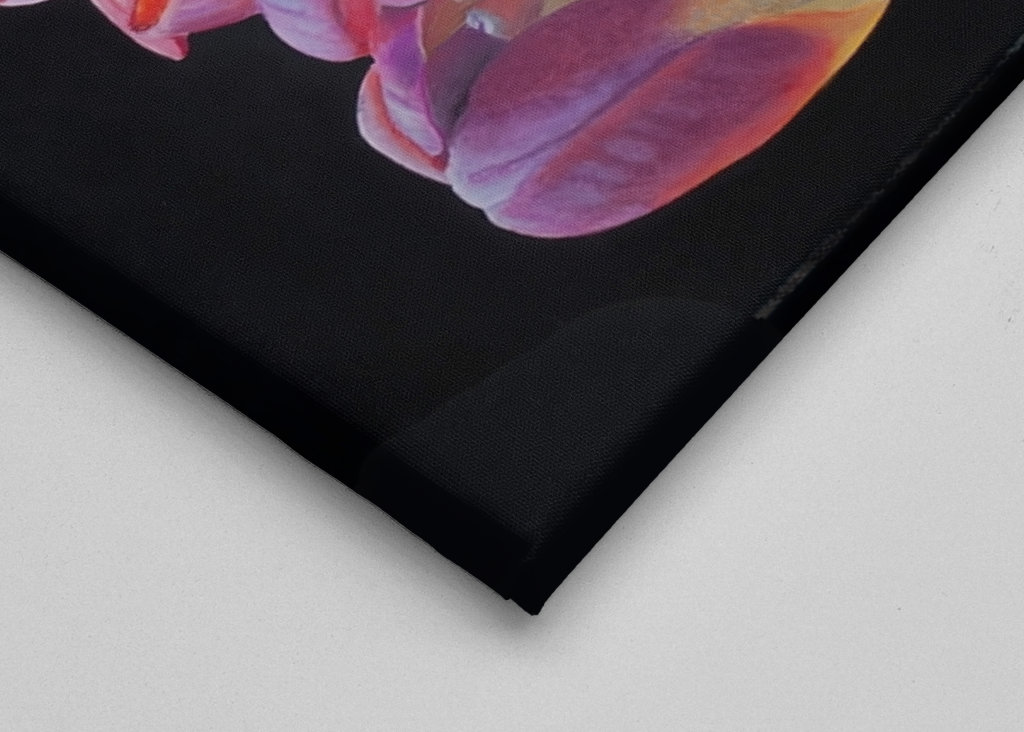 Fuochi d'artificio floreali