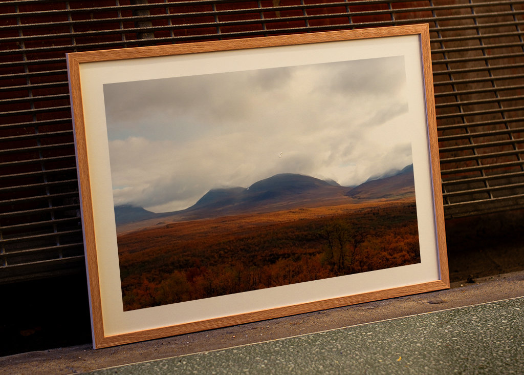 Fjällhöst / Bergherbst