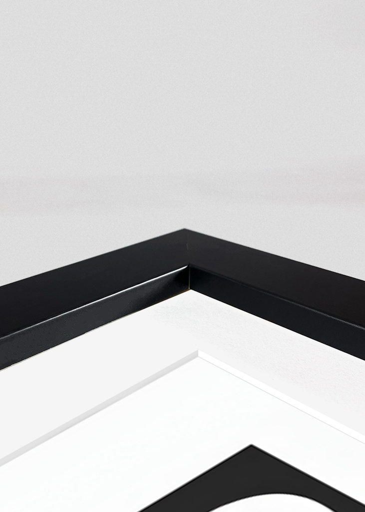 Toyota Sprinter AE86 Initial D