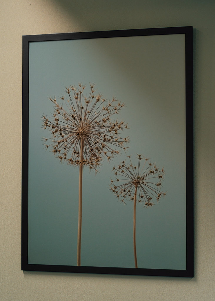 Dried Allium flowers