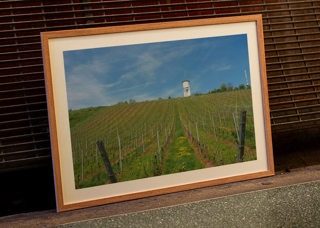 vineyards near trier