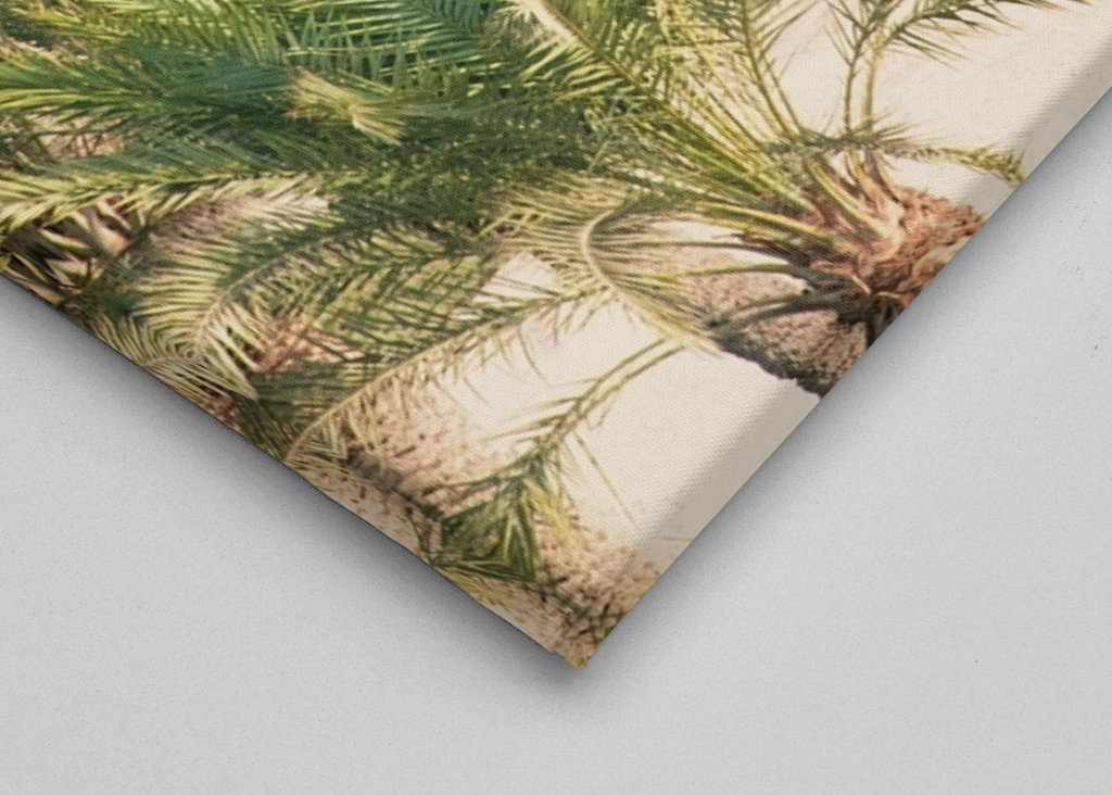 Palm Ocean Beach Drøm 1