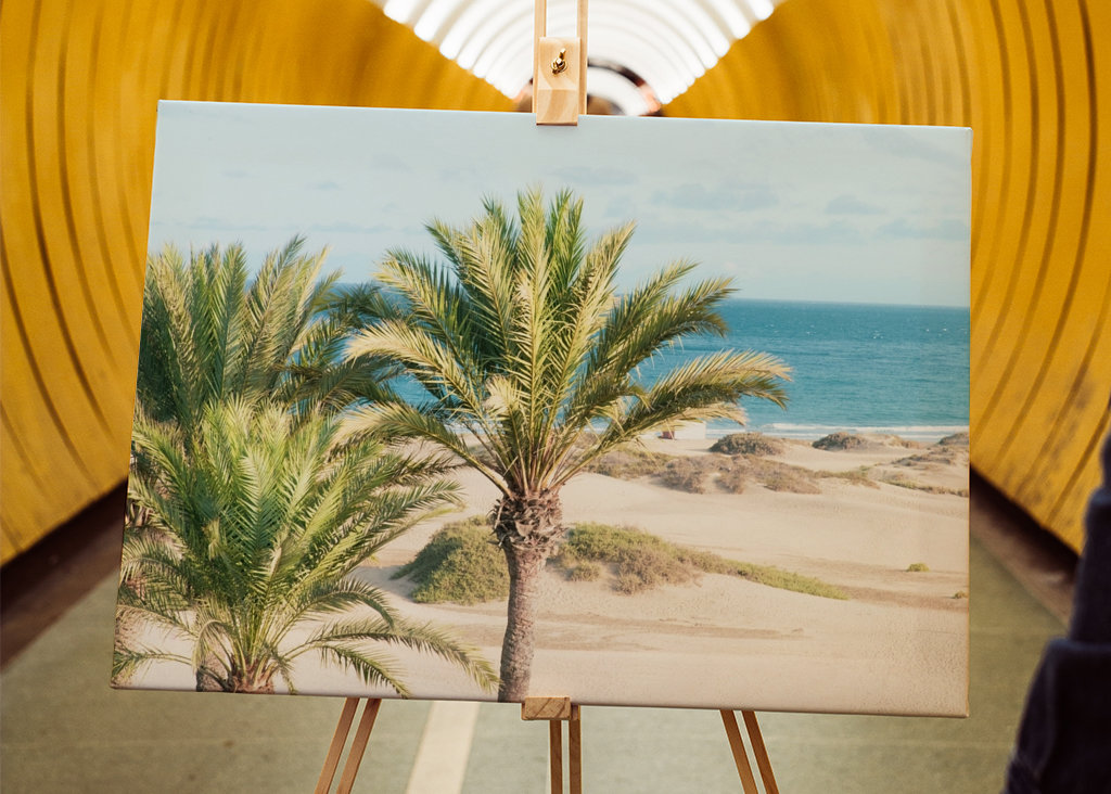 Palm Ocean Beach Drøm 1