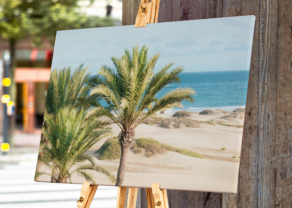 Palm Ocean Beach Drøm 1