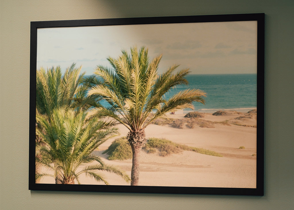 Palm Ocean Beach Drøm 1