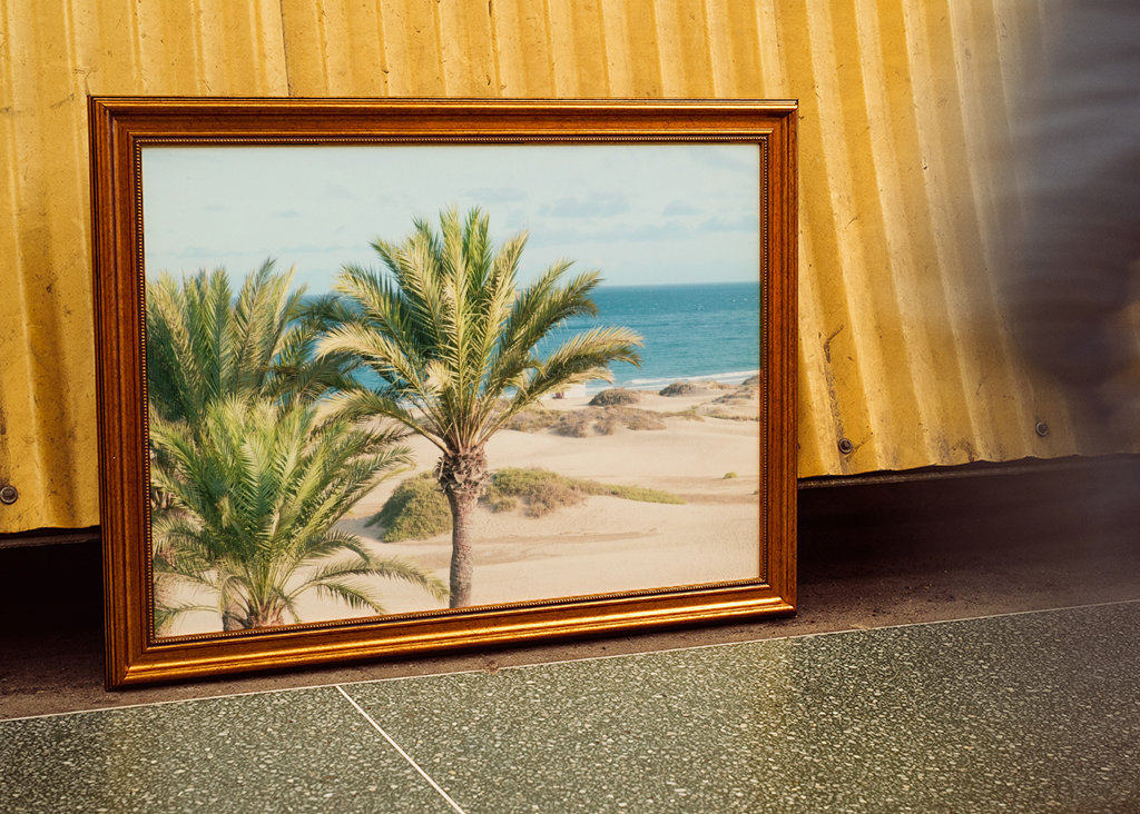 Palm Ocean Beach Drøm 1