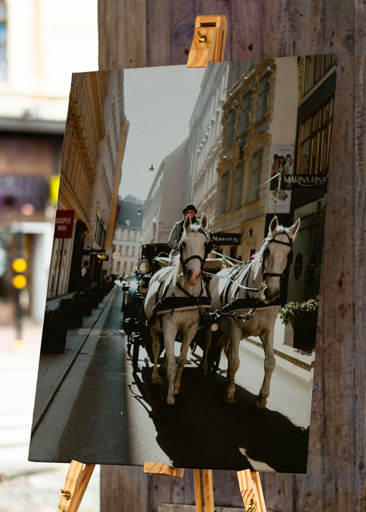 Kutschfahrt durch Wien 