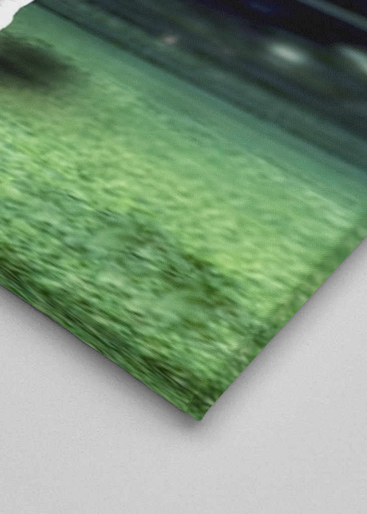 Lionel Messi årgang