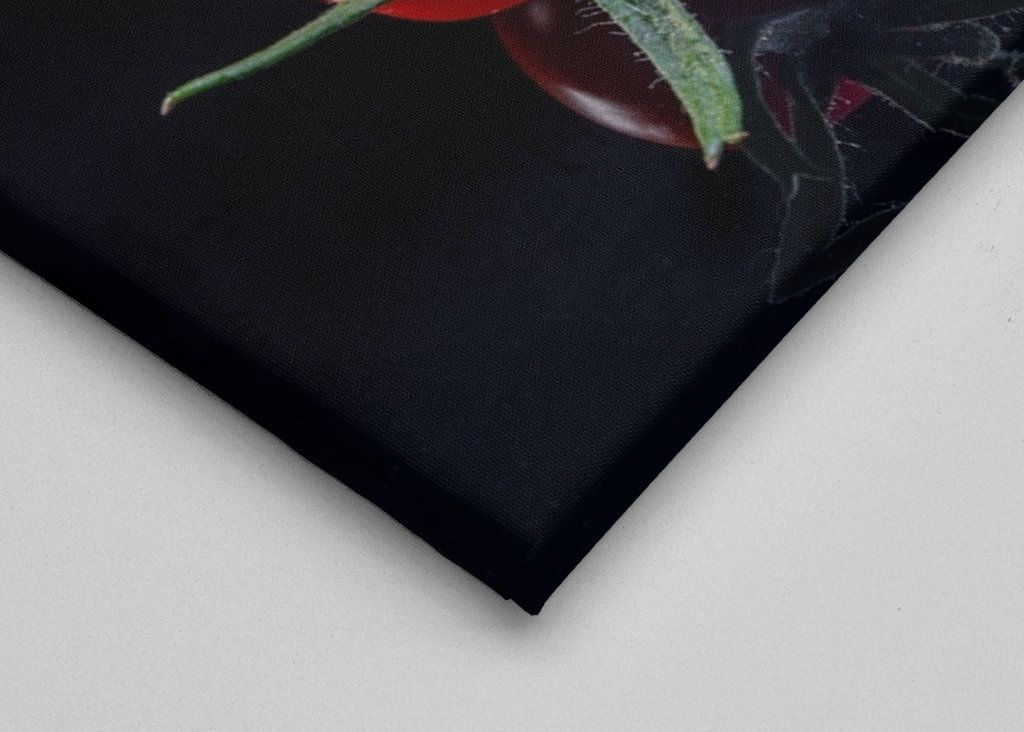 Tomaten op een zwarte achtergrond