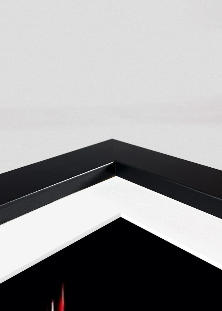 Leo, Raph, Donnie, Mikey - TMNT