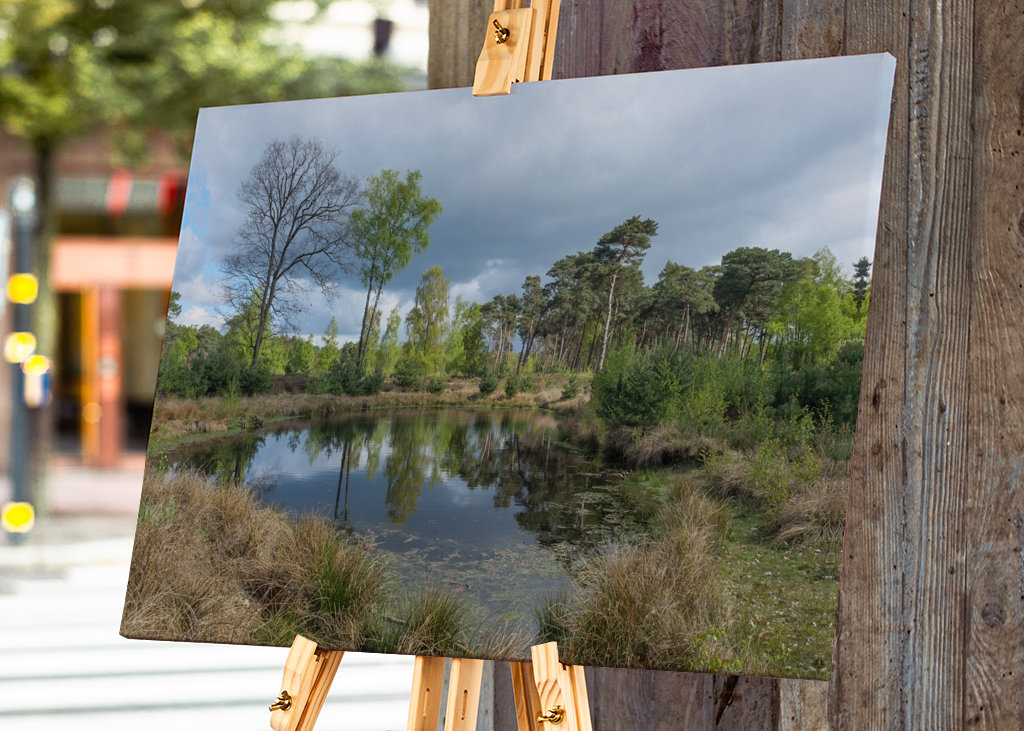 Malé jezírko na vřesovišti