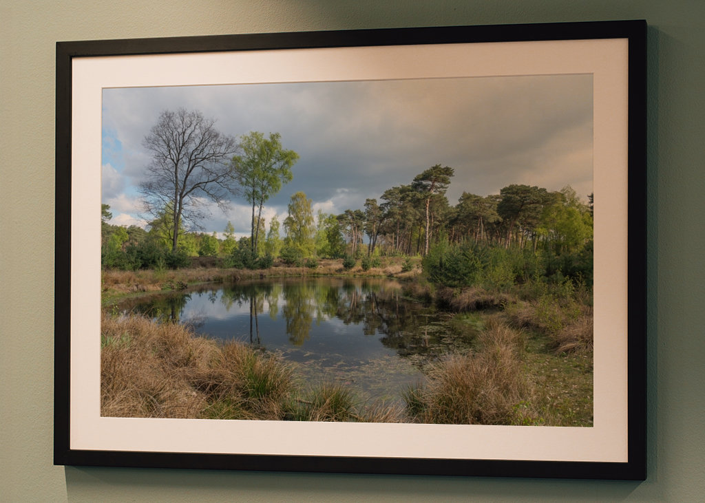 Malé jezírko na vřesovišti