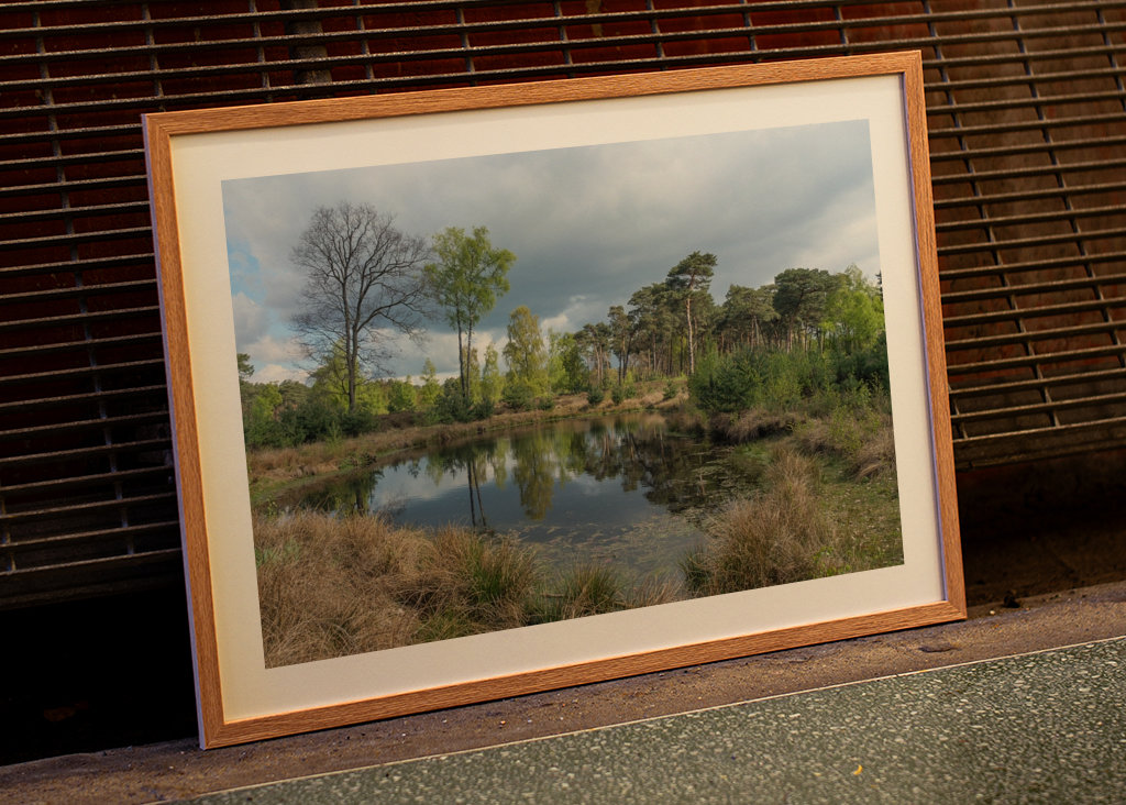 Malé jezírko na vřesovišti