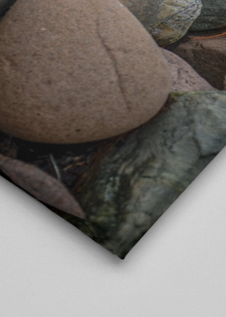 Granito Stainer Slip