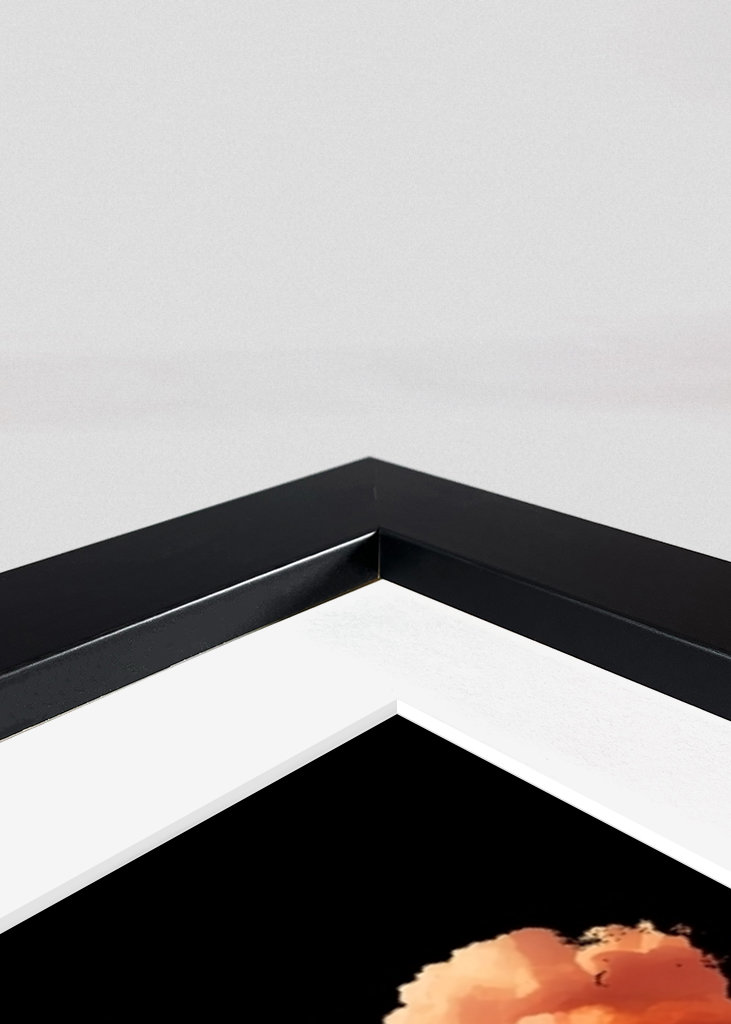 Mem Barbie Oppenheimer