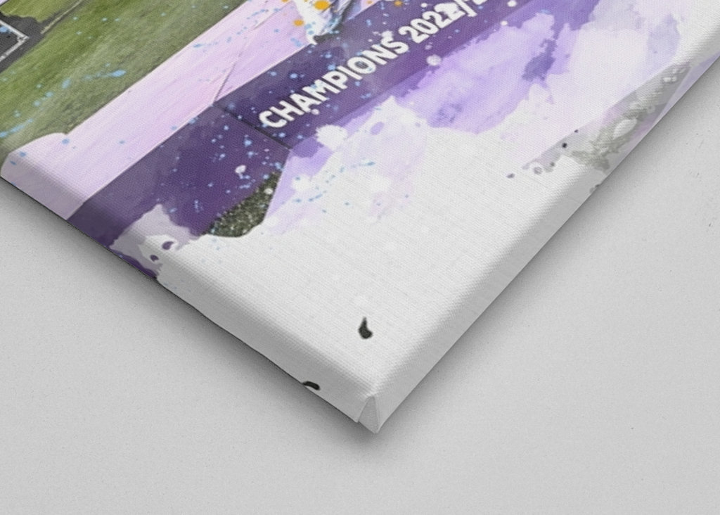 Manchester City Premier League