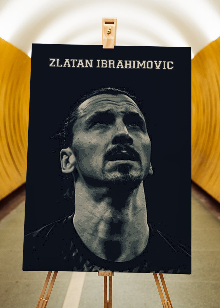 Zlatan Ibrahimovic 