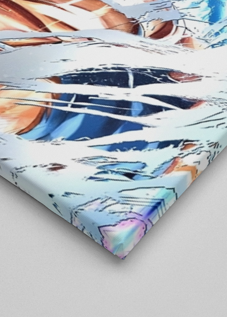 Ultra Instinct Son Goku