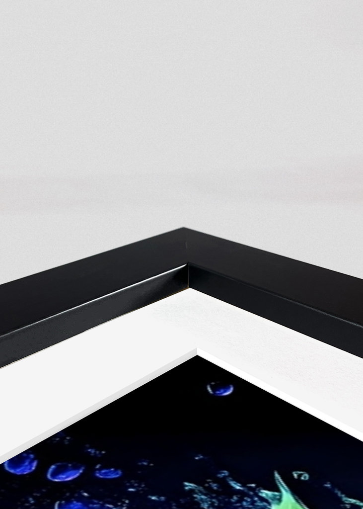 Bulbasaur Neon- Pokémon