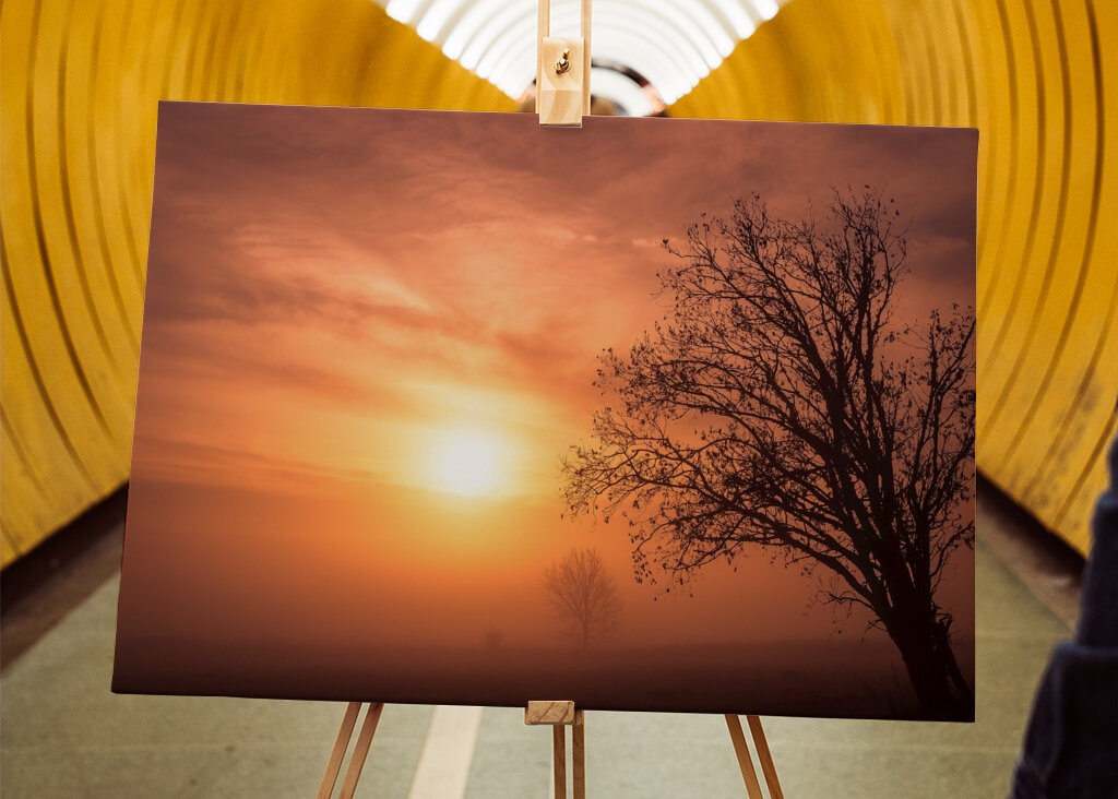 Vetrom ošľahaný strom
