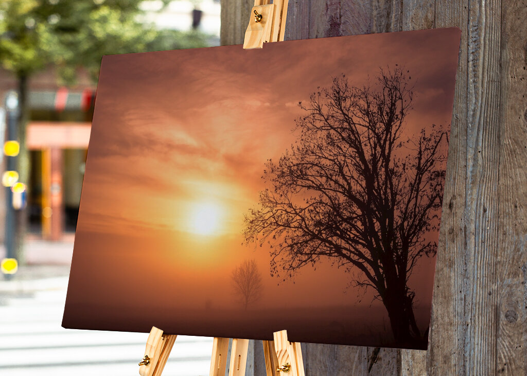 Vetrom ošľahaný strom