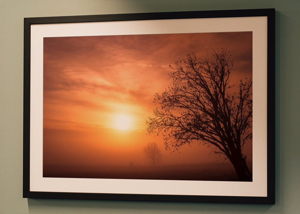 Vetrom ošľahaný strom