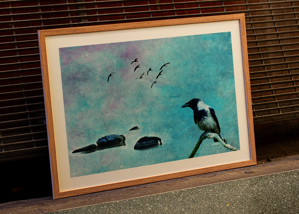 Der Vogel der Weisheit