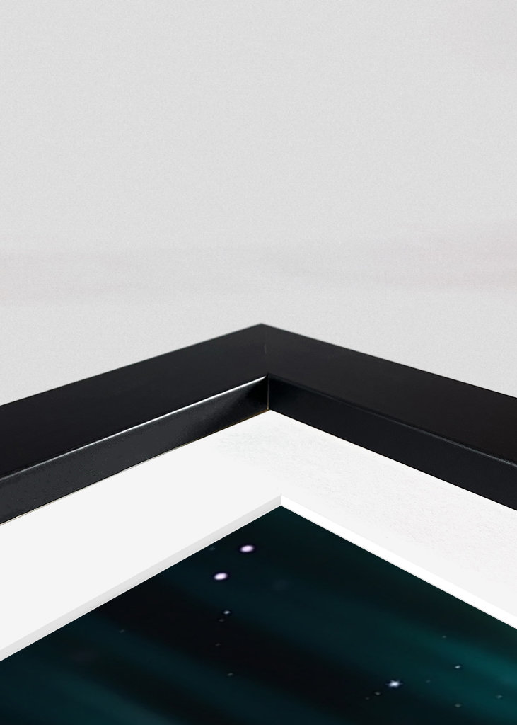 Daisy Flowers in Spring Nature