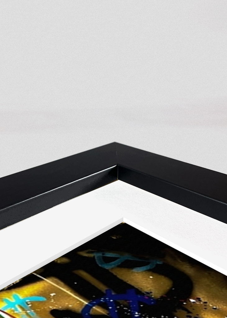 Pato Donald Dinero Dólar Arte